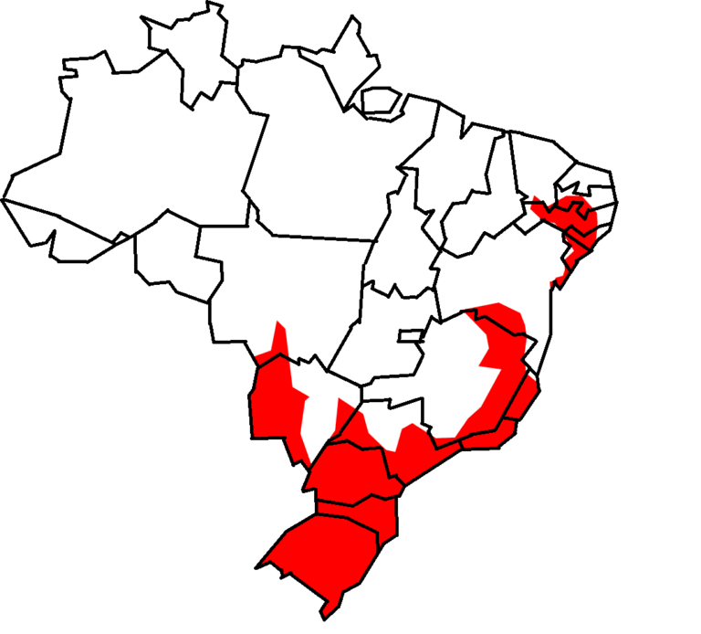 1. Mapa da distribuição geográfica do Furão pequeno (Galictis cuja) no Brasil