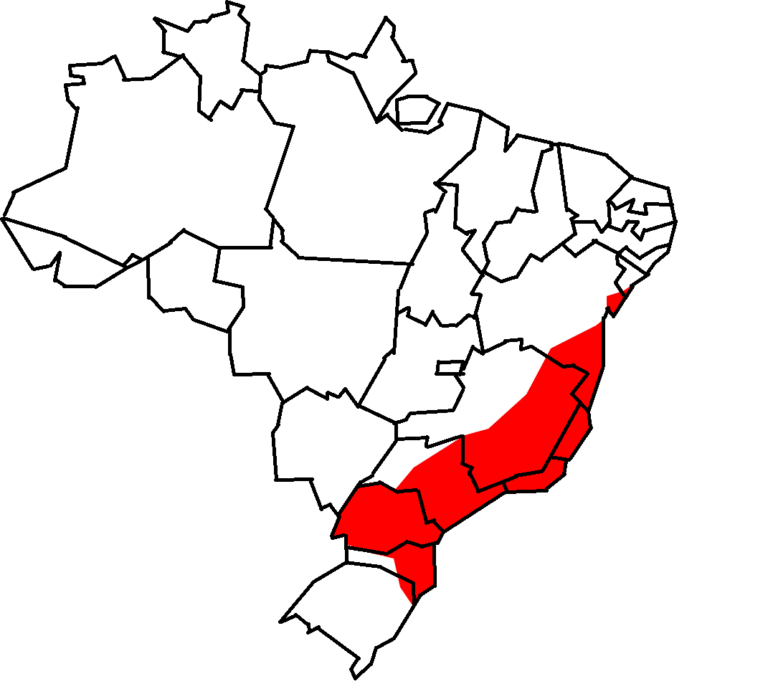 1. Mapa da distribuição geográfica do bico-de-pimenta (Saltator fuliginosus) no Brasil.