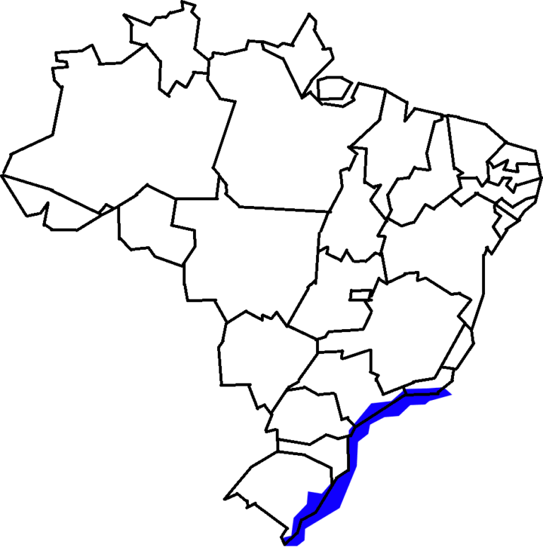 1. Mapa da distribuição geográfica do lobo marinho (Arctocephalus australis) no Brasil.
