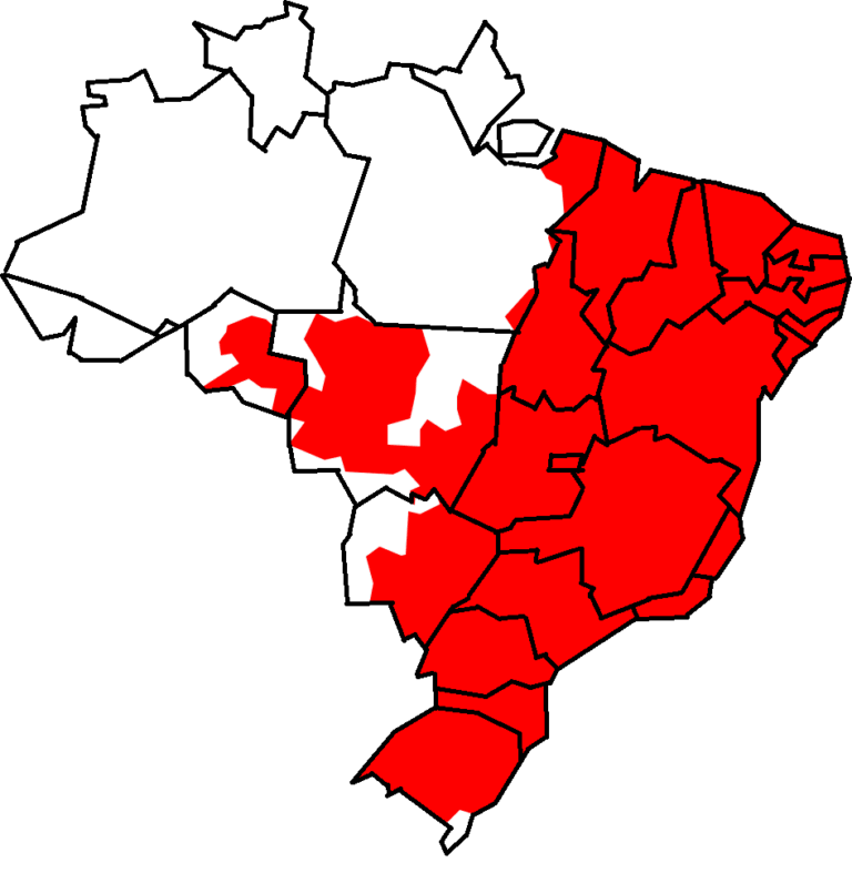 1. Mapa de distribuição geográfica da coruja-buraqueira (Athene cunicularia) no Brasil.