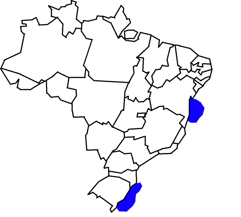 1. Mapa de distribuição geográfica da tartaruga-oliva (Lepidochelys olivacea) no Brasil.