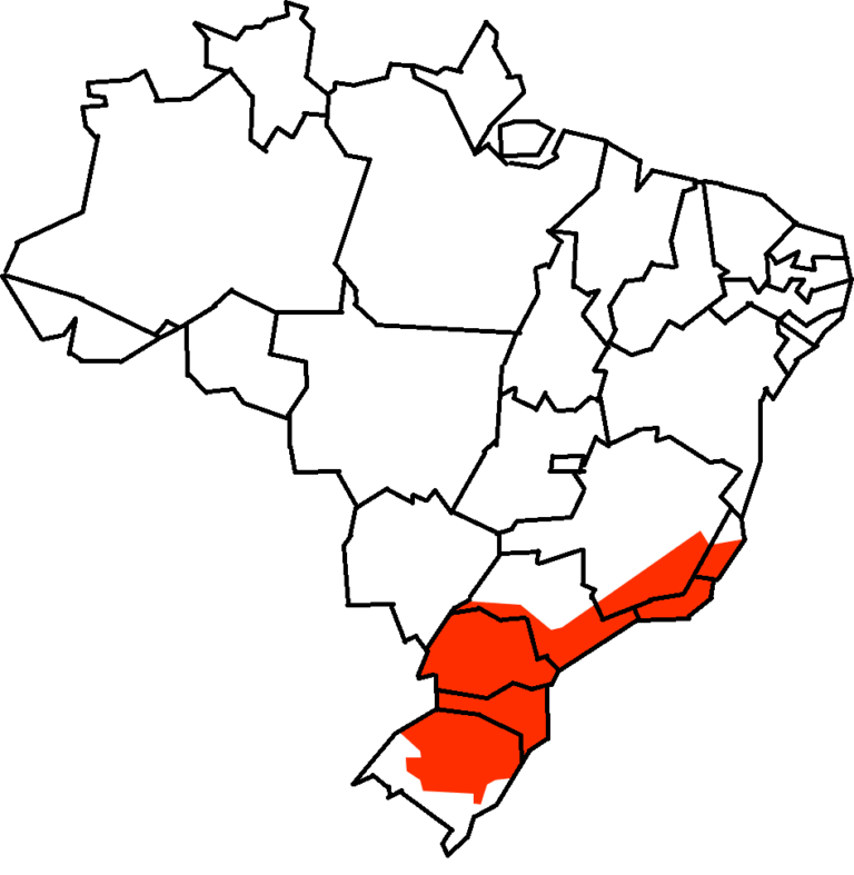 1. Mapa de distribuição geográfica do bugio-ruivo (Alouatta clamitans) no Brasil.