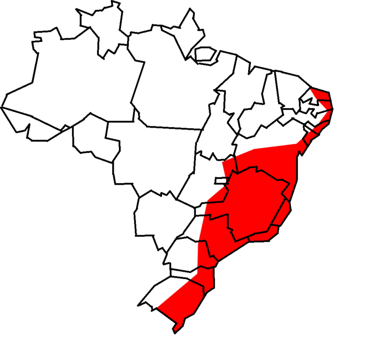 1. Mapa de distribuição geográfica do gambá-de-orelha-branca (Didelphis albiventris) no Brasil.