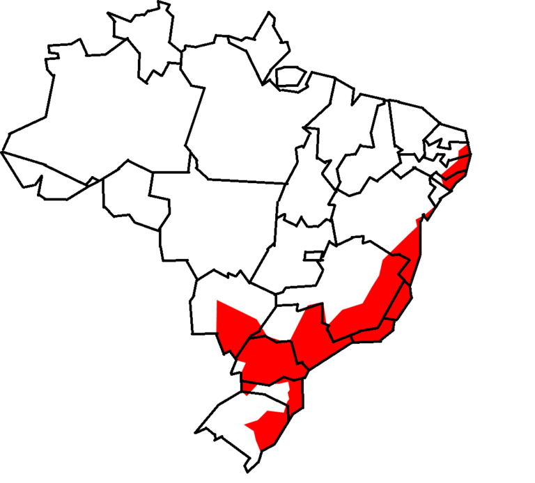 1. Mapa de distribuição geográfica do gambá-de-orelha-preta (Didelphis aurita) no Brasil.