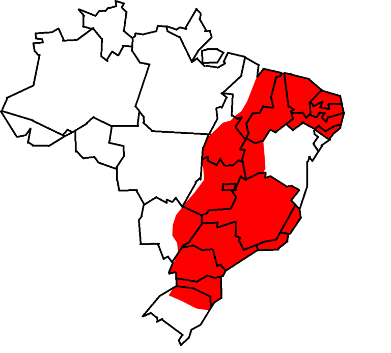 1. Mapa de distribuição geográfica da Sagui-de-tufo-preto (Callithrix penicillata) no Brasil.