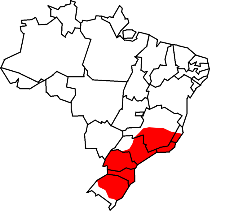 1. Mapa de distribuição geográfica do Tucano-de-bico-verde (Ramphastos dicolorus) no Brasil.